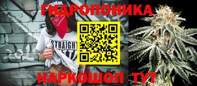 ALPHA PVP Моздок