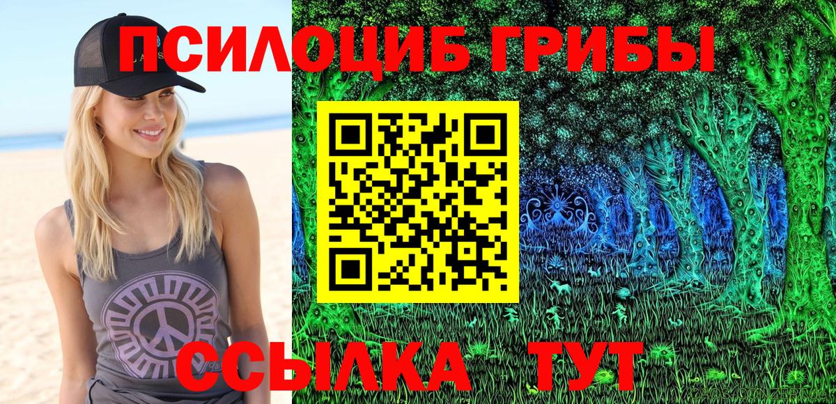 Галлюциногенные грибы мицелий Шатура