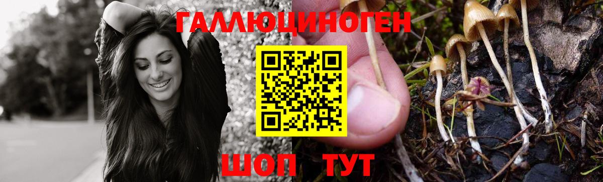 Псилоцибиновые грибы мицелий  Вход с VPN  Шатура 