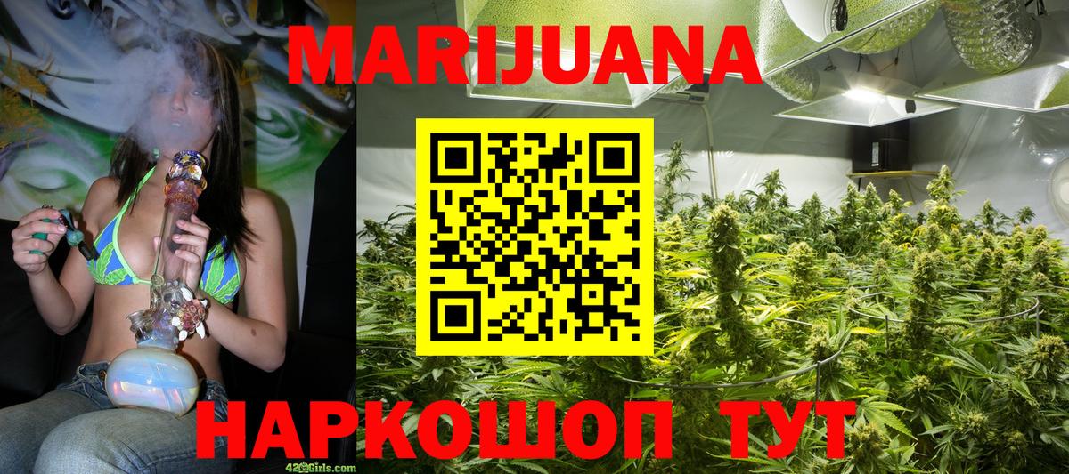 Бошки Шишки планчик Шатура